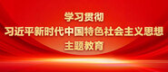 成人28深夜影院学习贯彻习近平新时代中国特色社会主义思想主题教育_fororder_ad-371X160(2)